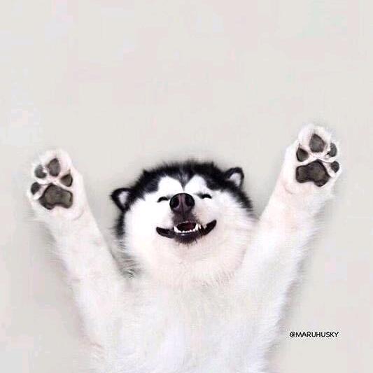 🌈🌈🌈叫我醉醉