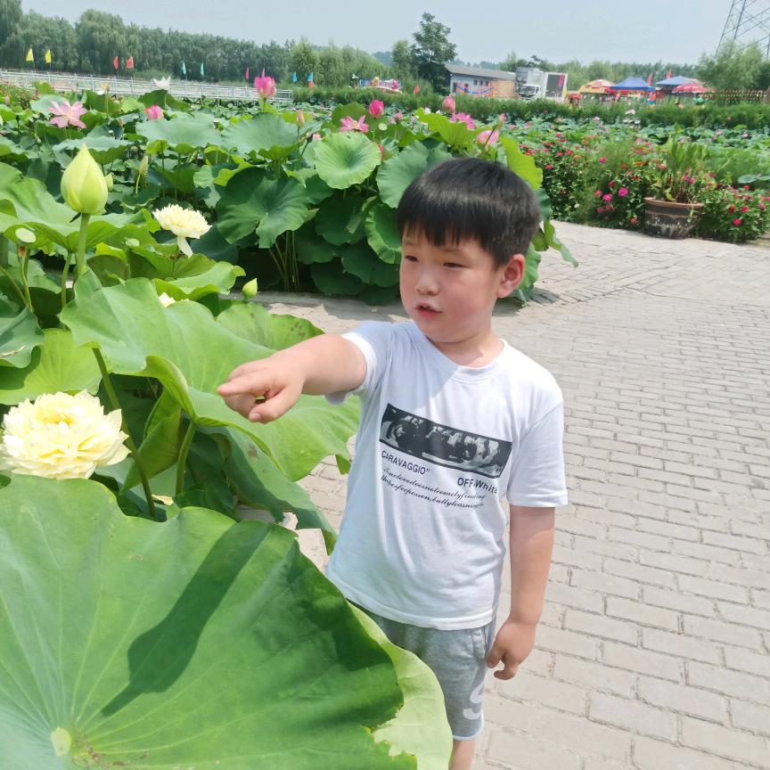 不知道什么名字