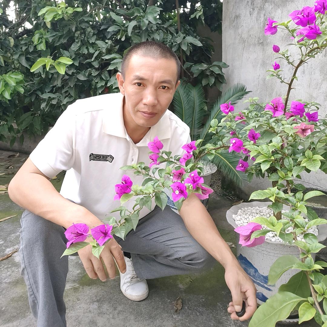 达哥好物