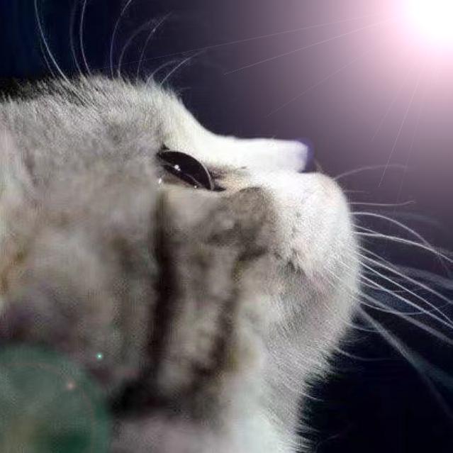 梦丶R