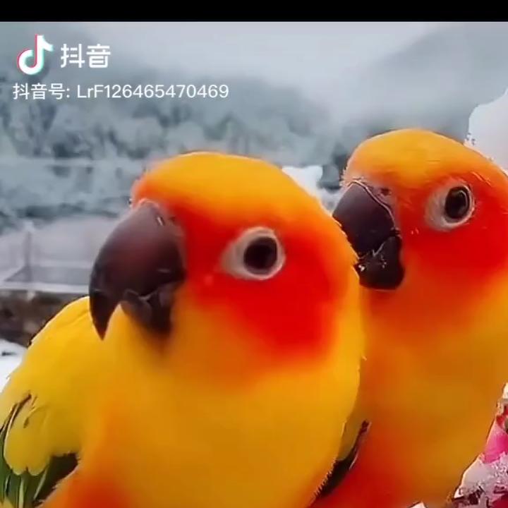 《一场秋雨一场凉》