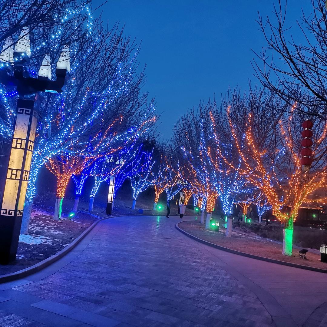 (๑>过往不念<๑）