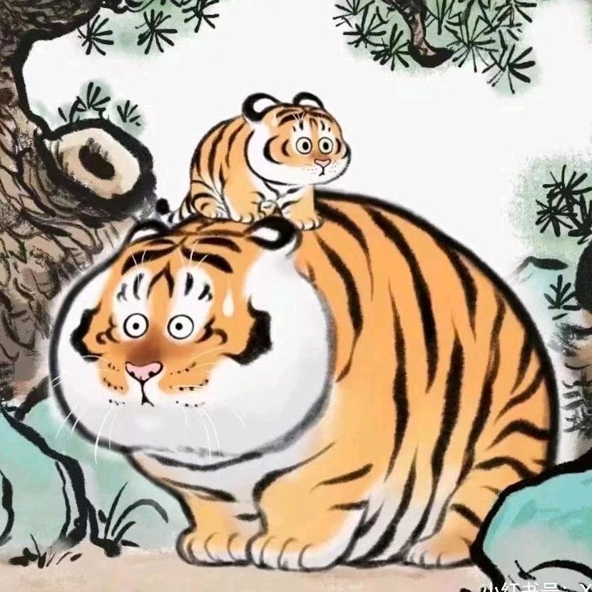 中国阿尔巴😎️