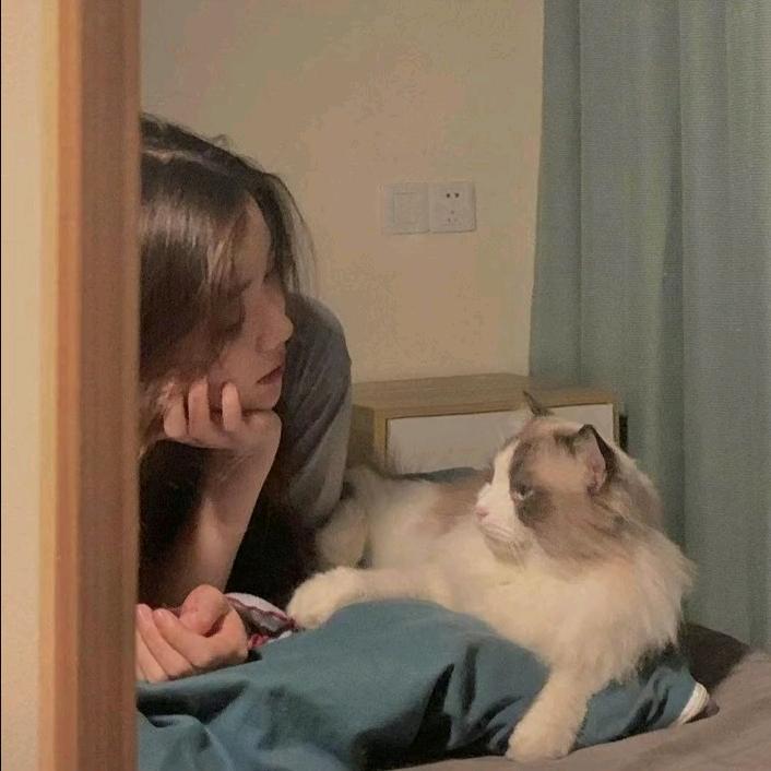 巧巧不爱吃巧克力