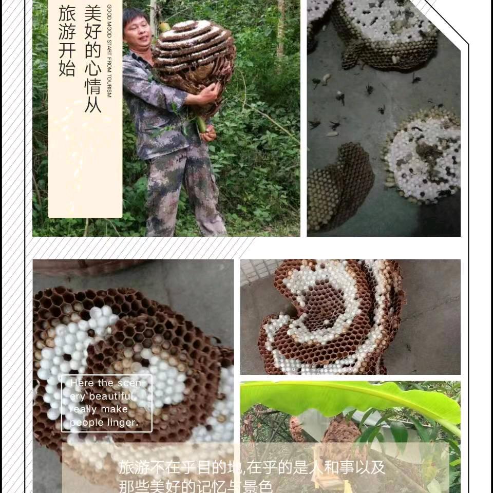 陆河县上护镇胡峰种养场！户外老黄