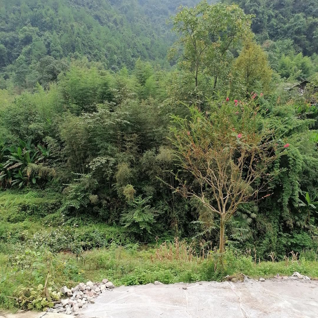 天天开心快乐的