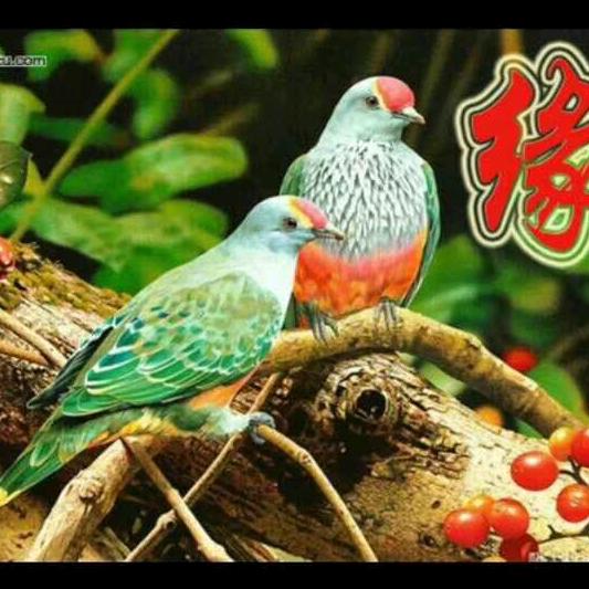 用户2489693768887美好的一天