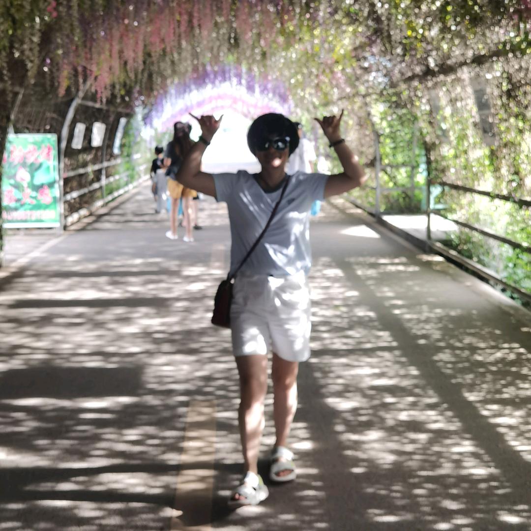 芦荟