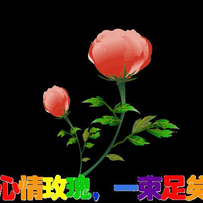☀七杠花☀2