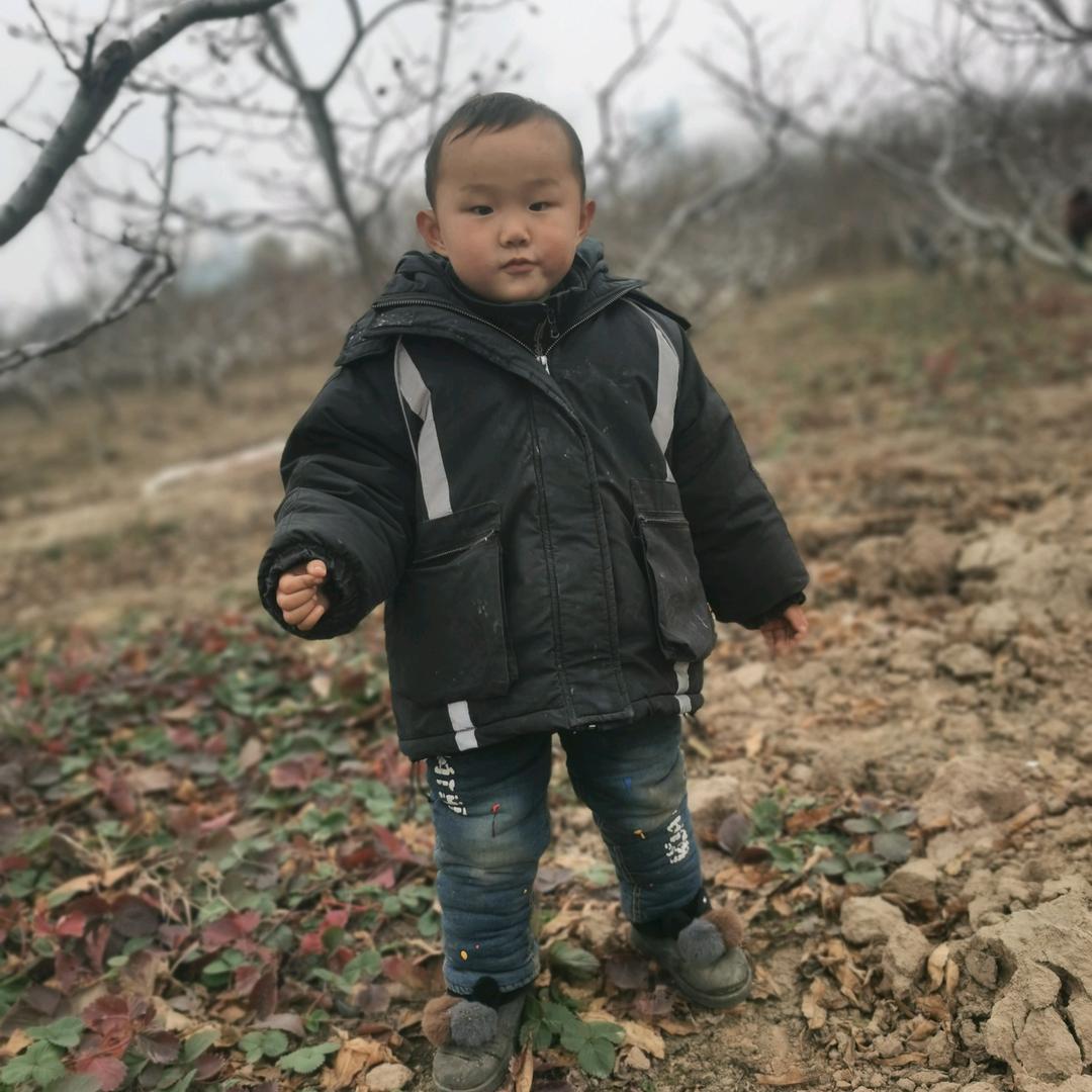 迷茫的人生路