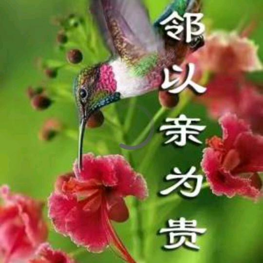 明天更好