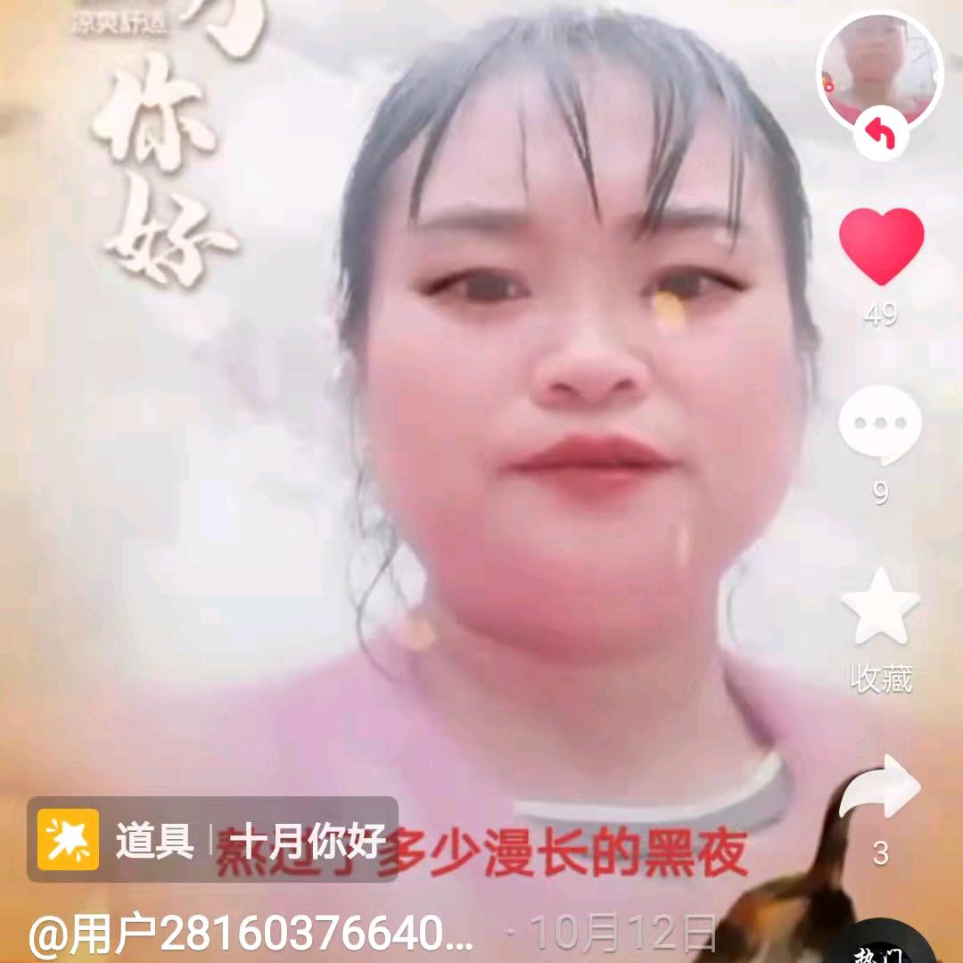 夕阳下的玫瑰