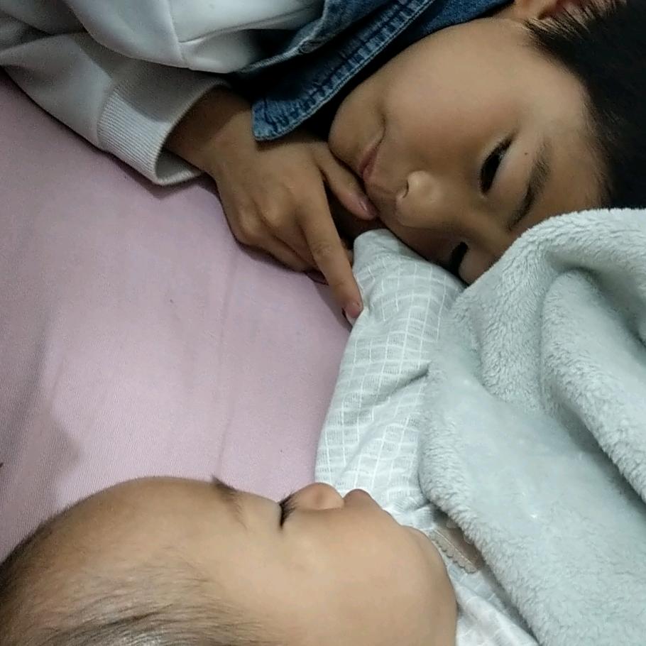 鑫程龙锦