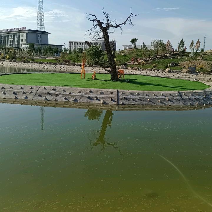 家和万事兴