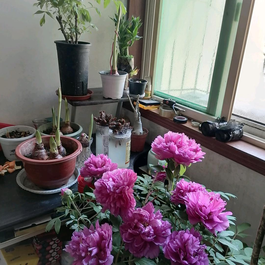 伊诺缘—知足常乐