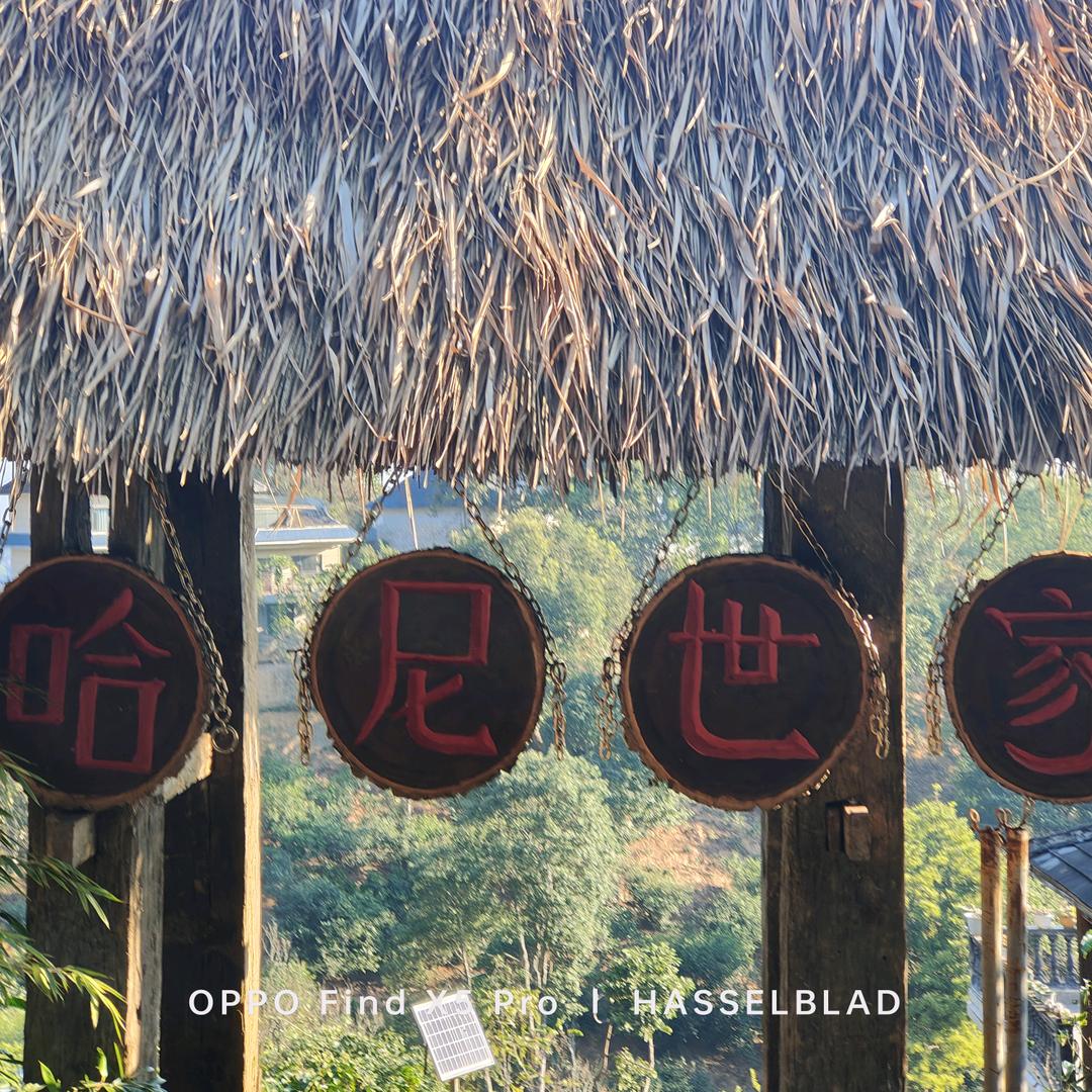 哈尼世家（守护生态茶）