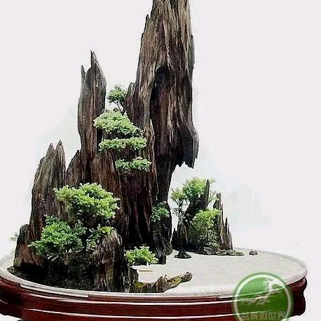 曹洪道
