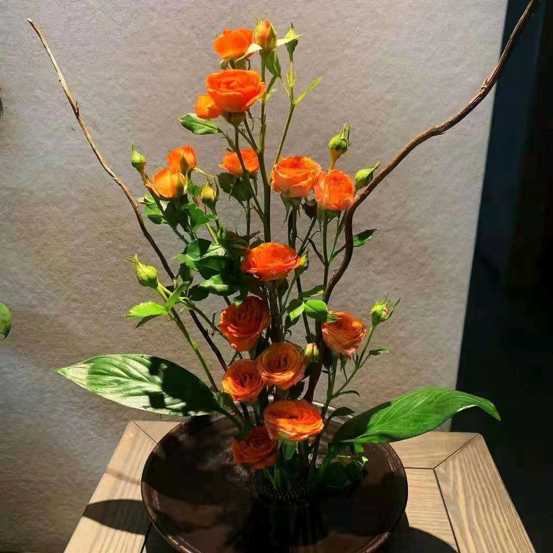 欢歌笑语