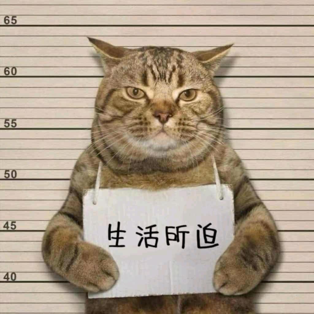 Laity.（俗人）