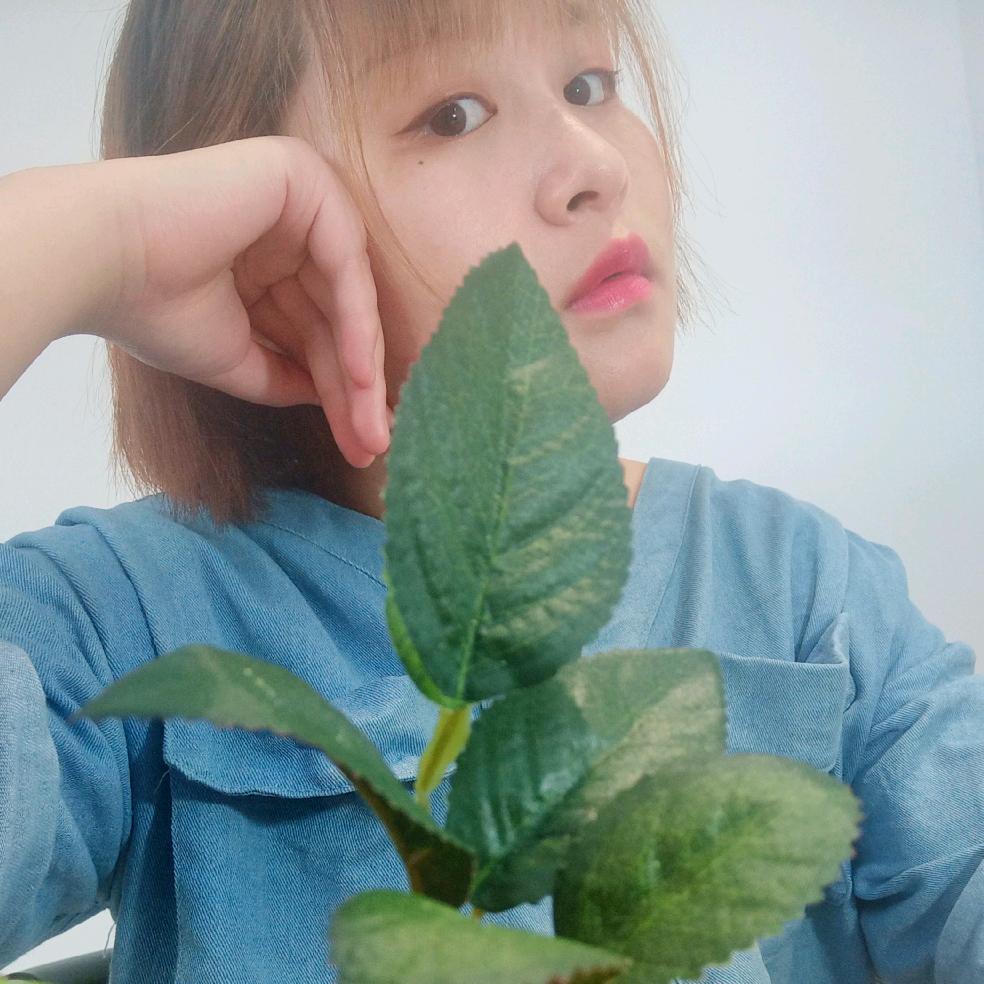 🐯夏胖胖👧