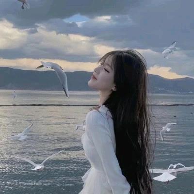 蒲公英的灰尘