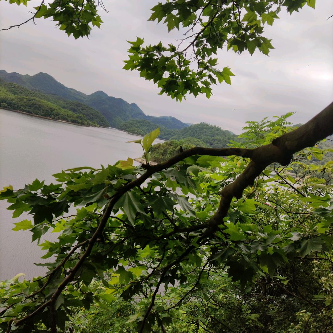 看看世界更美好