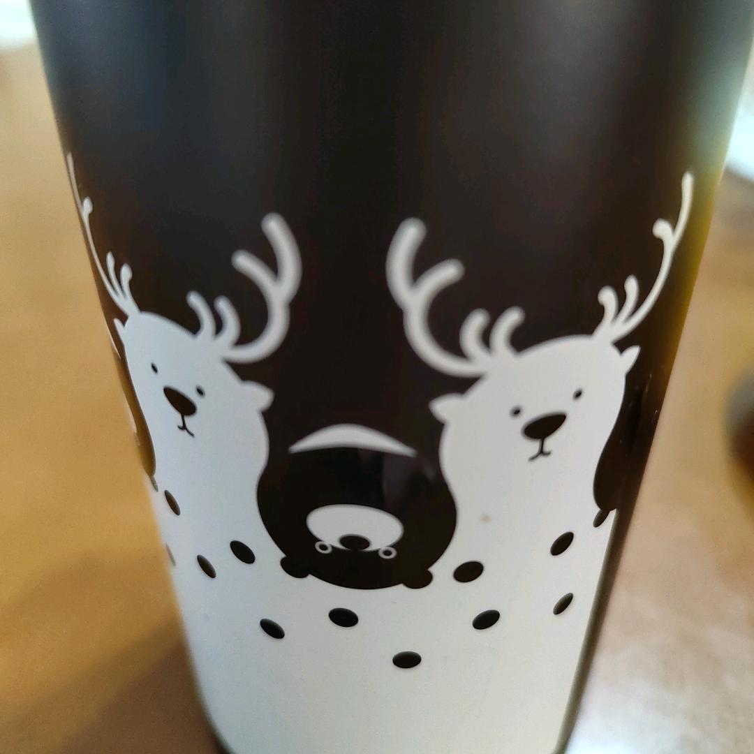 商河花博会直播