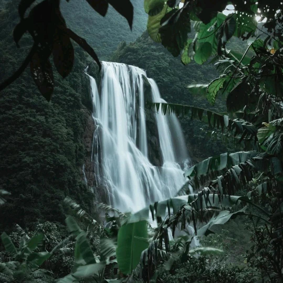 森源聚合盛景