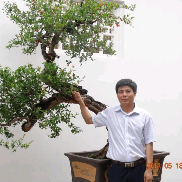 环球时代