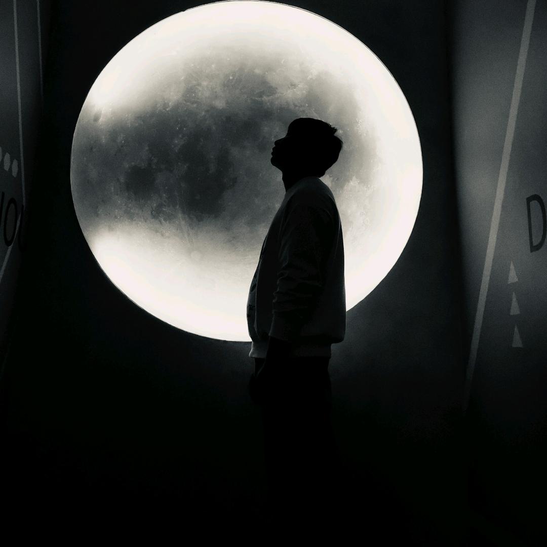 我在人间凑数的日子