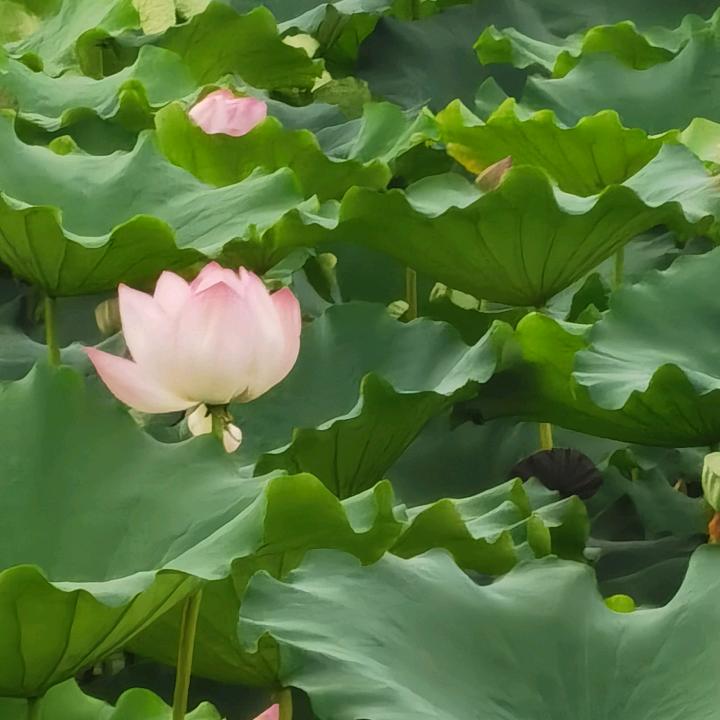 A不咸不淡