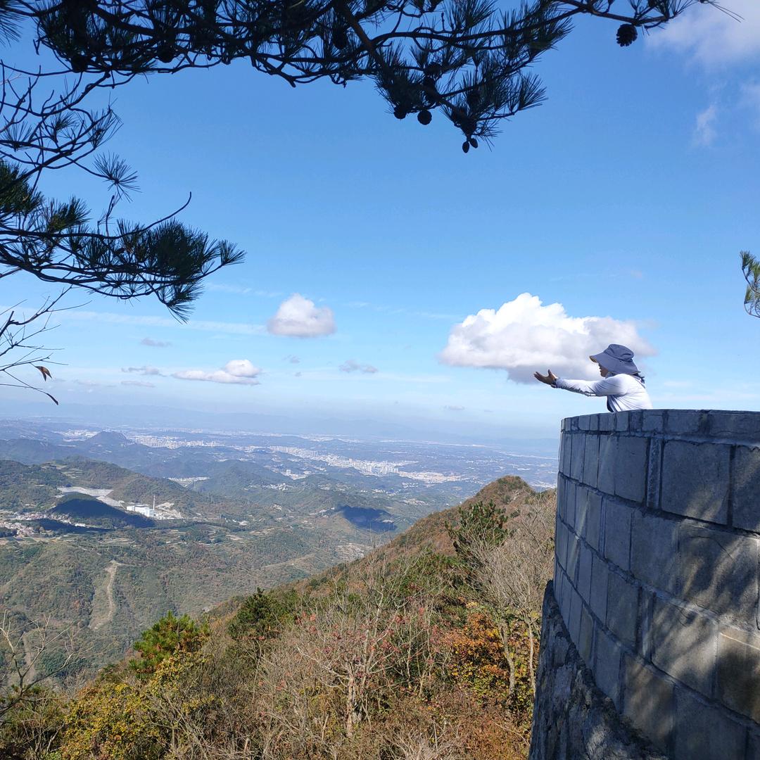 七秒记忆