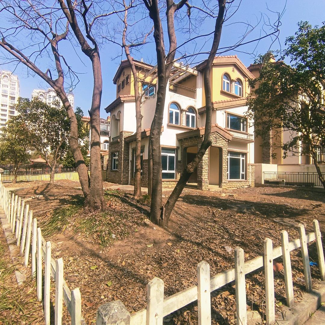 不务正业刘经理