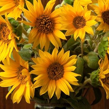 小海（手机摄影）