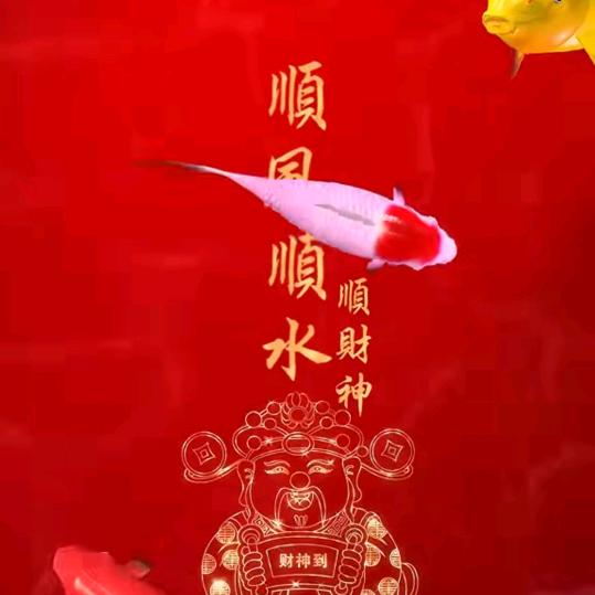 奋斗的人生