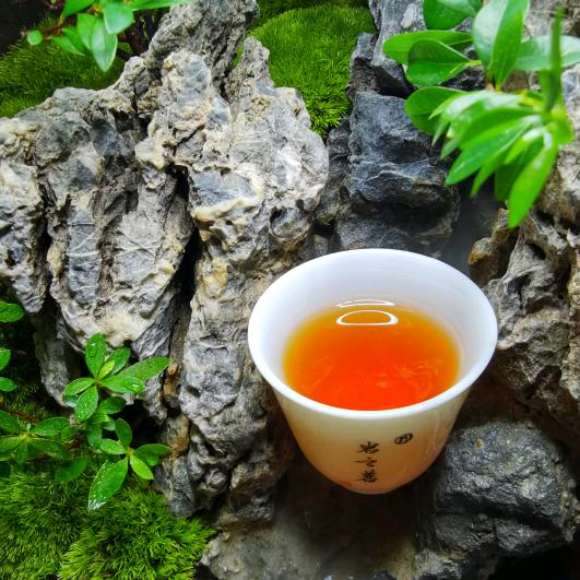 池先生的小院子