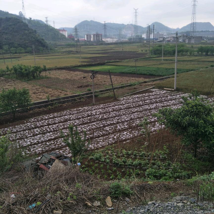 老虎山