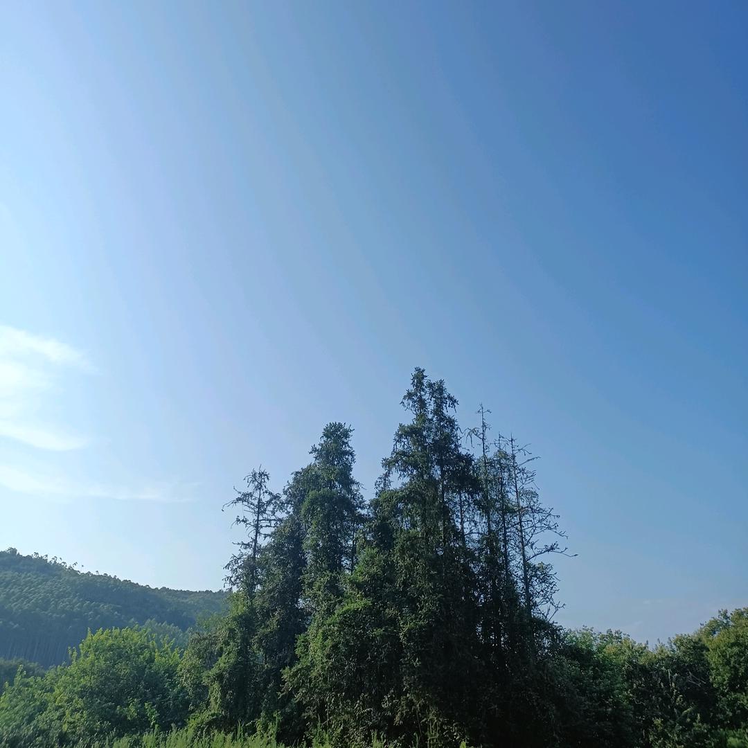 幸福的味道
