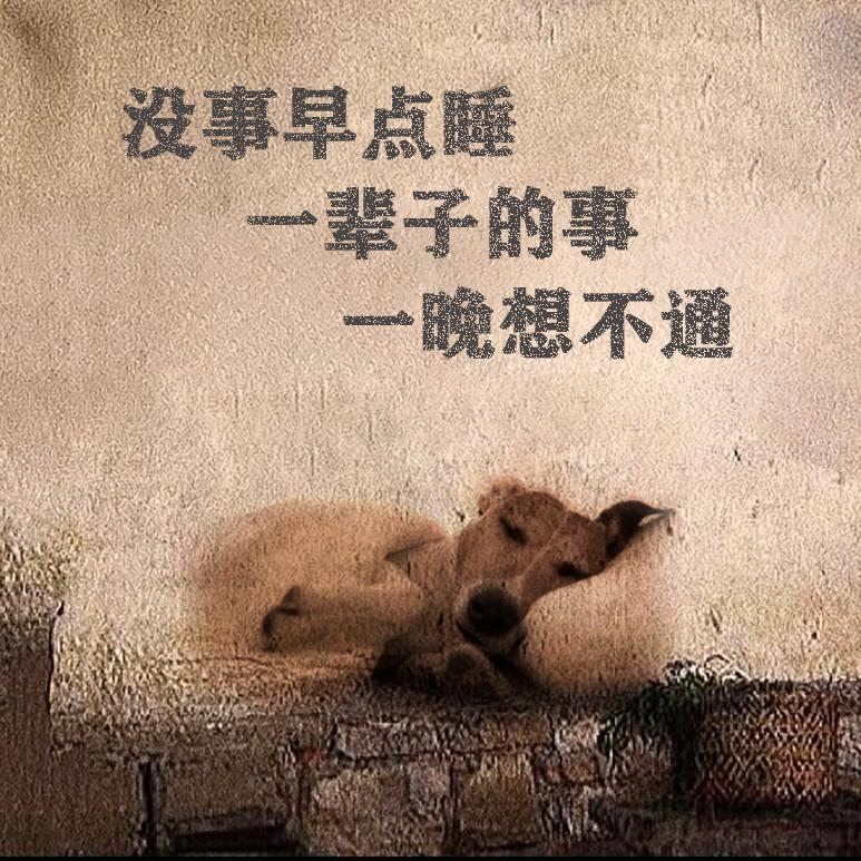 时间都去哪儿了