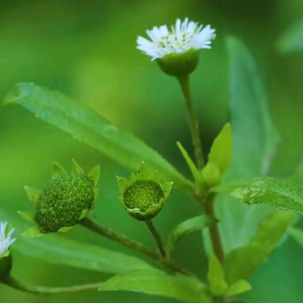🐍感谢有妳🐉