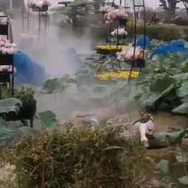 思念从前