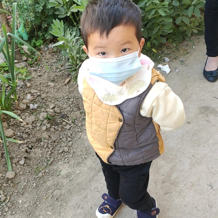 小麦