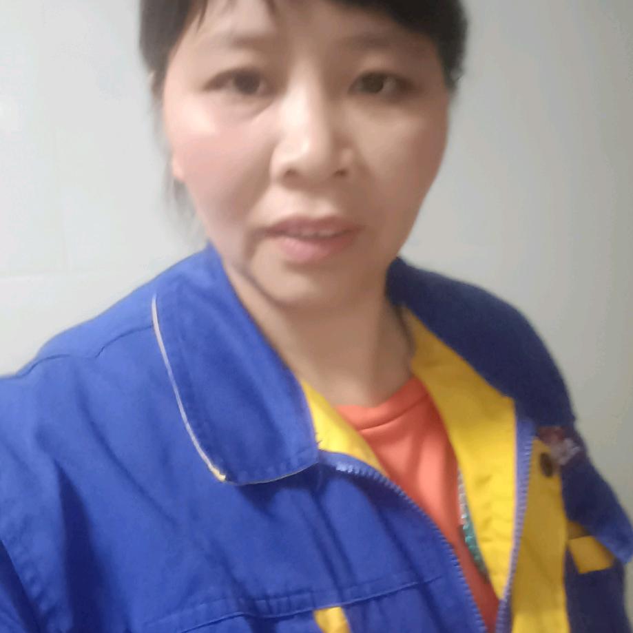 小波菜1
