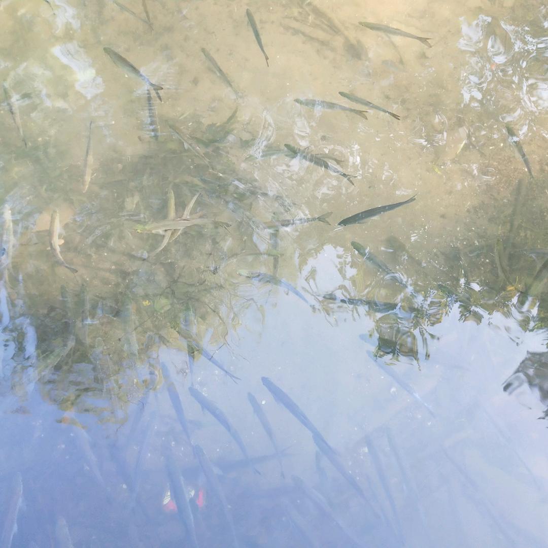 天高任鸟飞