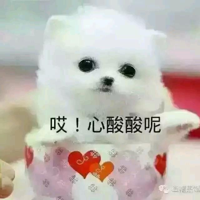 永结同心