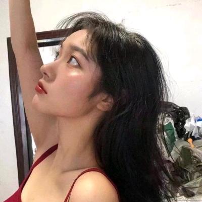 流浪的野猫