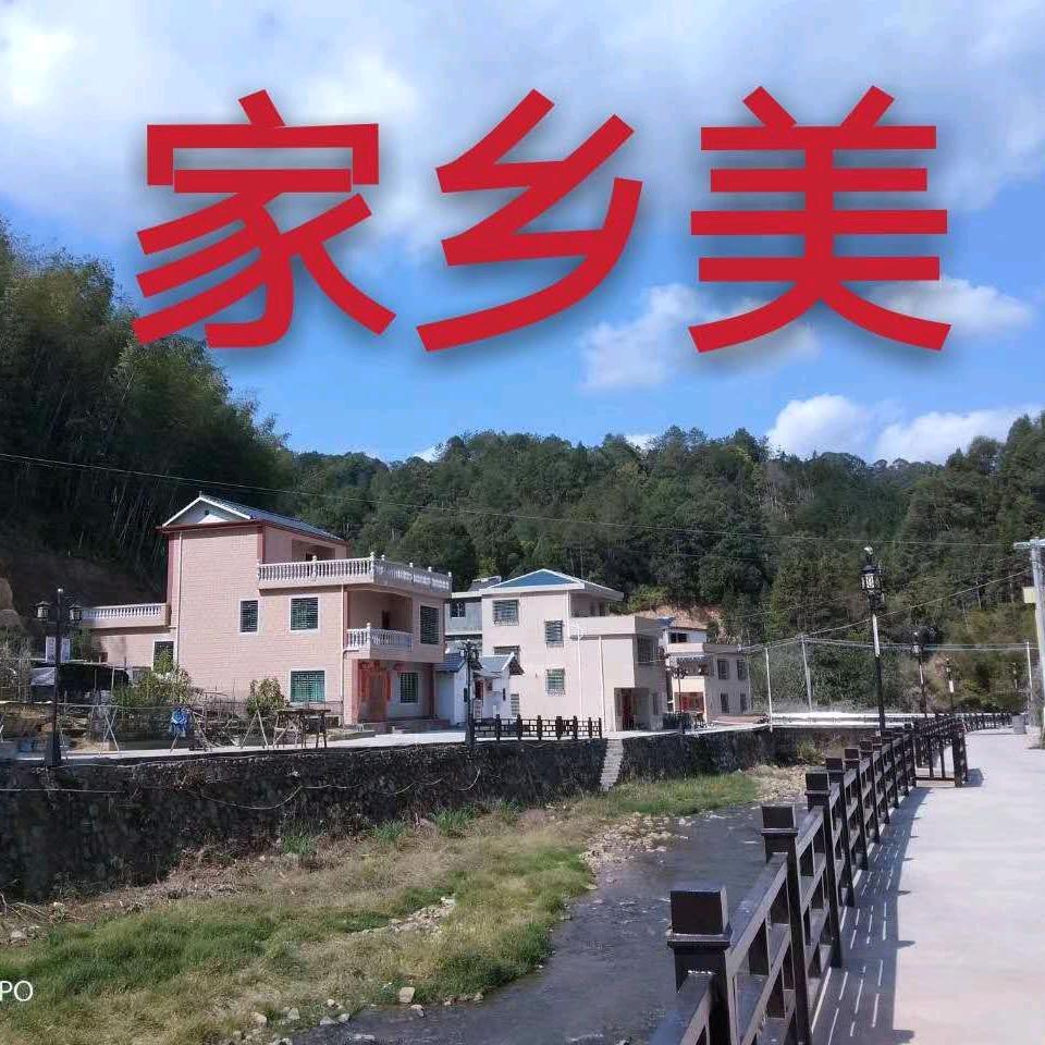 老顽聚乐