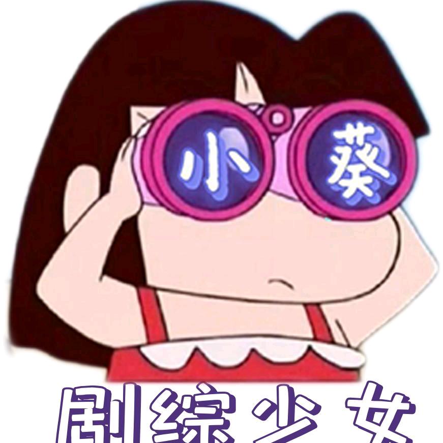 剧综少女蔡小葵