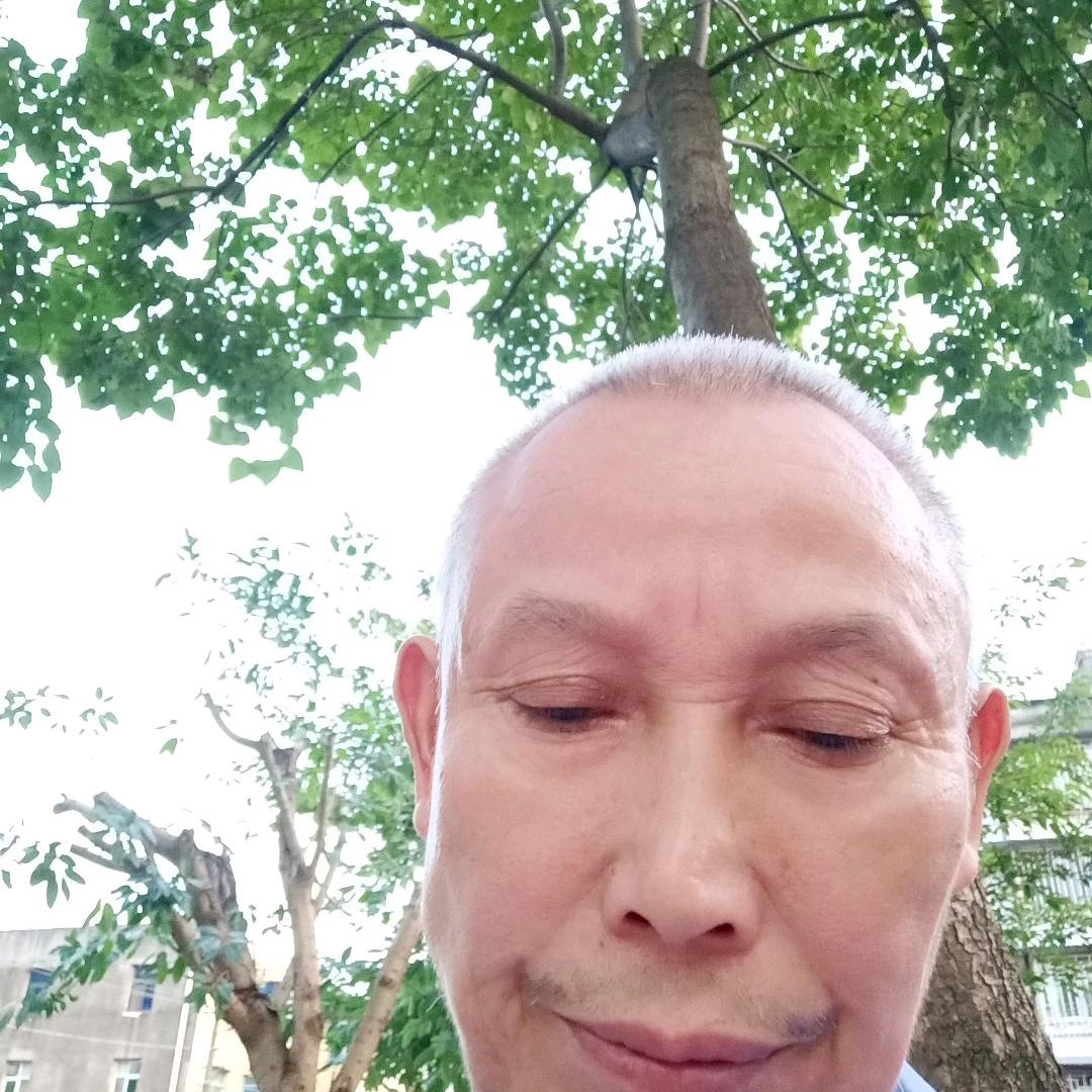 红尘飘