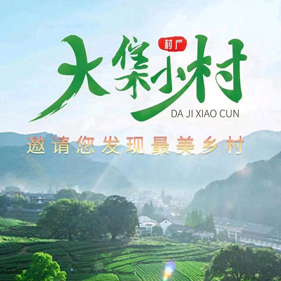 大集小村：项目资源汇